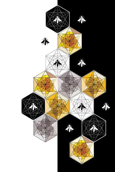 Chhaya Shrader: Bees I by Chhaya Shrader