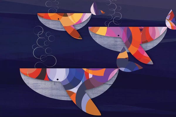 Chhaya Shrader: Whales by Chhaya Shrader