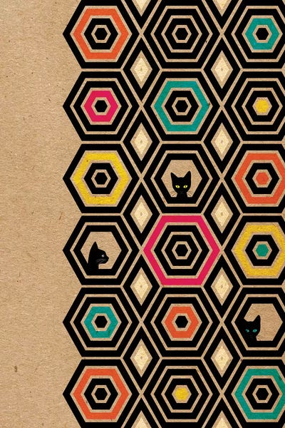 Chhaya Shrader: Hexcat by Chhaya Shrader