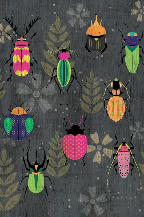 Beetles by Chhaya Shrader wall art