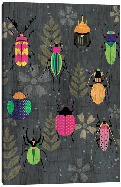 Beetles Canvas Art Print - Chhaya Shrader
