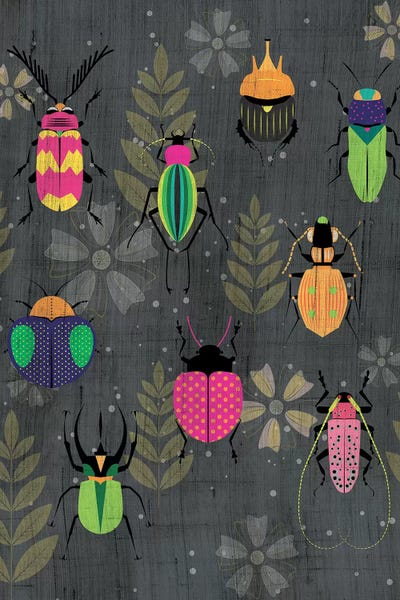 Chhaya Shrader: Beetles by Chhaya Shrader
