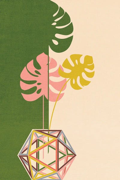 Chhaya Shrader: Monstera in Icosahedron by Chhaya Shrader