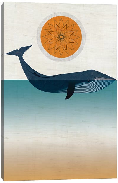 Blue Whale Canvas Art Print - Chhaya Shrader