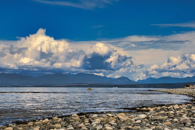 View From The Beach by Chuck Burdick wall art