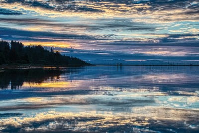 Lavender Morning by Chuck Burdick canvas print