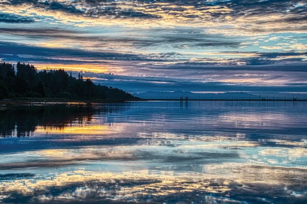 Chuck Burdick: Lavender Morning by Chuck Burdick