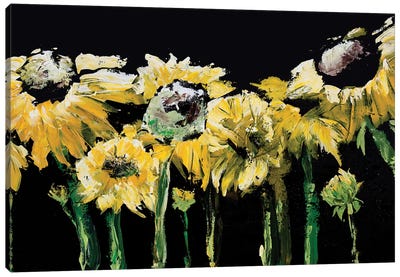 Sunflower Field on Black Canvas Art Print