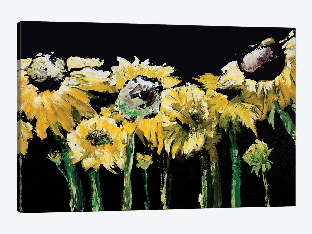 Sunflower Field on Black by Marcy Chapman 1-piece Canvas Art
