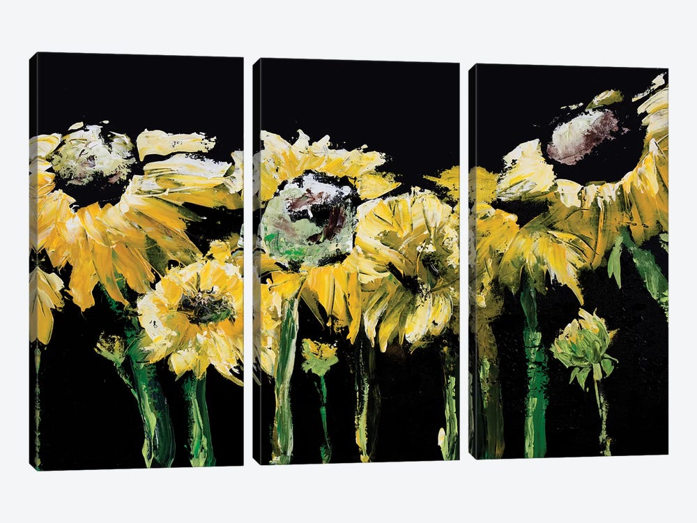 Sunflower Field on Black by Marcy Chapman 3-piece Canvas Artwork
