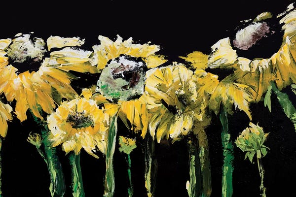 Marcy Chapman: Sunflower Field on Black by Marcy Chapman