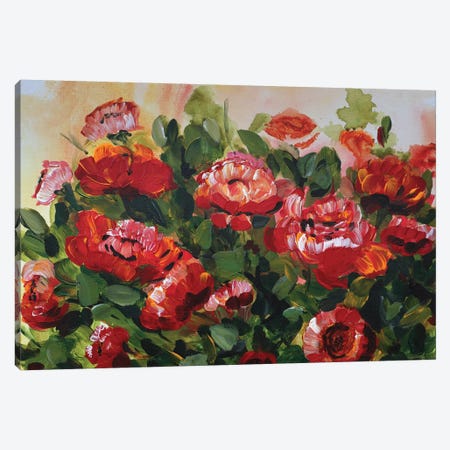 Red Poppies Garden Canvas Print #CHP18} by Marcy Chapman Canvas Print