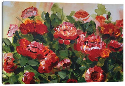 Red Poppies Garden Canvas Art Print