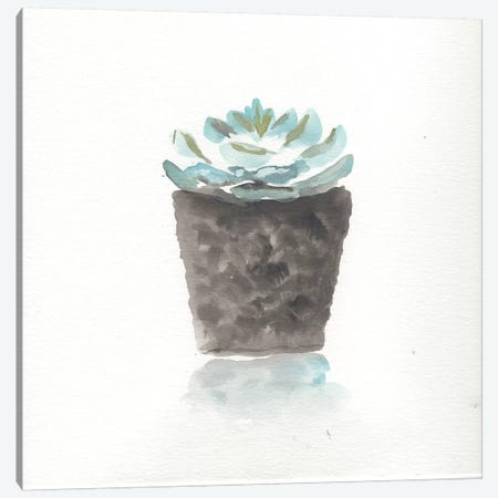 Watercolor Cactus Still Life I Canvas Print #CHP19} by Marcy Chapman Canvas Art Print