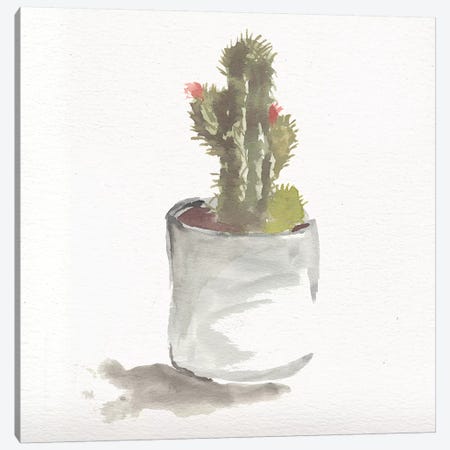 Watercolor Cactus Still Life II Canvas Print #CHP20} by Marcy Chapman Canvas Artwork