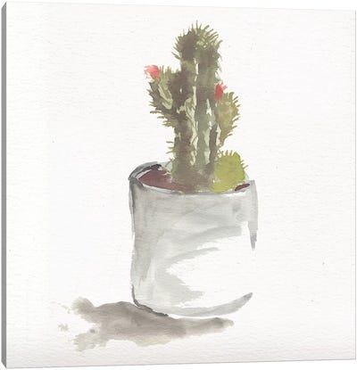 Watercolor Cactus Still Life II Canvas Art Print