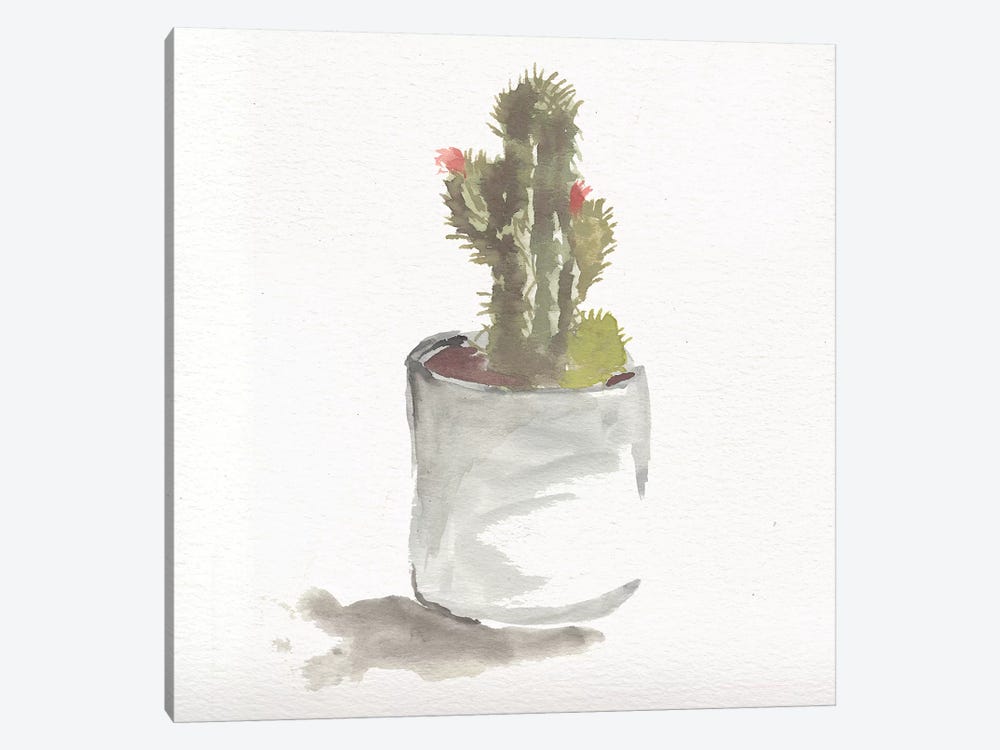 Watercolor Cactus Still Life II by Marcy Chapman 1-piece Canvas Print