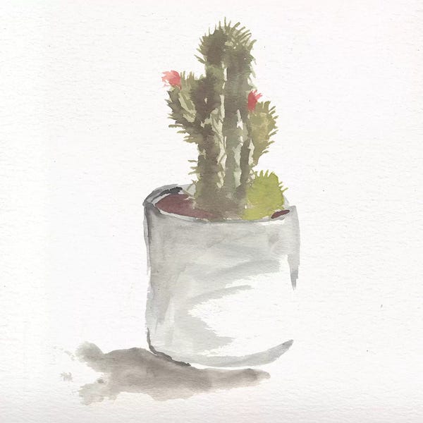Marcy Chapman: Watercolor Cactus Still Life II by Marcy Chapman