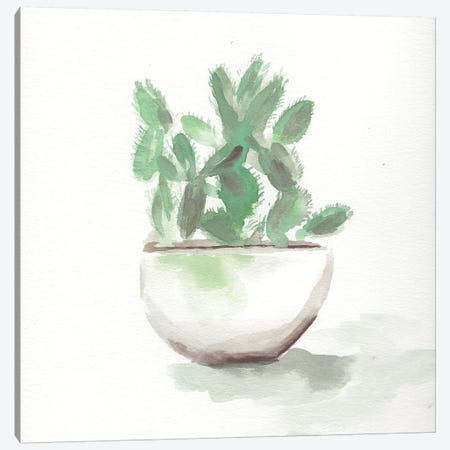 Watercolor Cactus Still Life III Canvas Print #CHP21} by Marcy Chapman Canvas Wall Art
