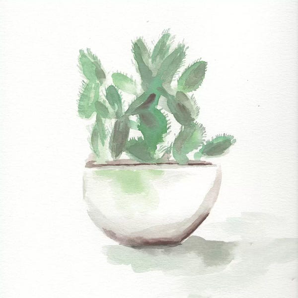 Roaring Brook Art: Watercolor Cactus Still Life III by Marcy Chapman