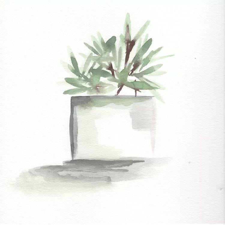 Watercolor Cactus Still Life IV