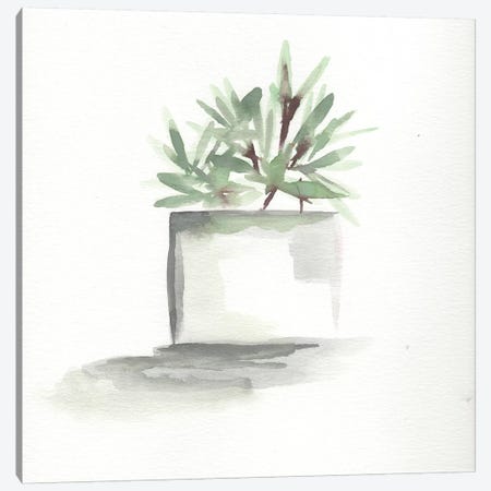 Watercolor Cactus Still Life IV Canvas Print #CHP22} by Marcy Chapman Canvas Wall Art