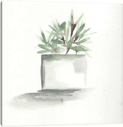 Watercolor Cactus Still Life IV Canvas Art Print