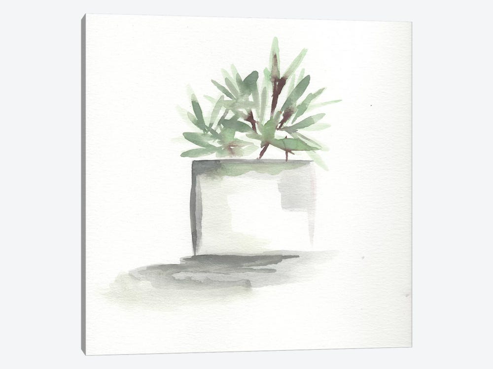 Watercolor Cactus Still Life IV by Marcy Chapman 1-piece Art Print