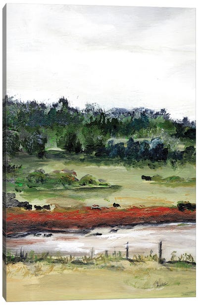 Farmhouse Fields I Canvas Art Print