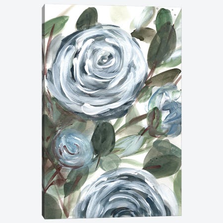 Farmhouse Rose Blue II Canvas Print #CHP35} by Marcy Chapman Canvas Artwork