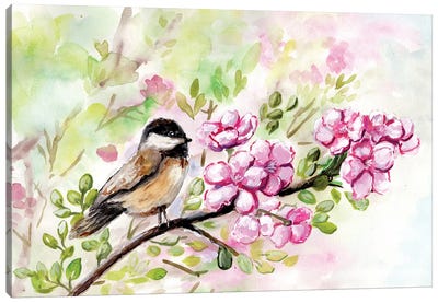 Spring Chickadee And Apple Blossoms Canvas Art Print