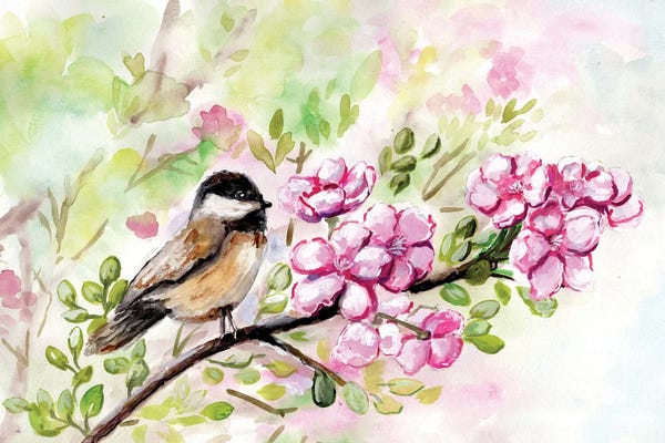 Marcy Chapman: Spring Chickadee And Apple Blossoms by Marcy Chapman