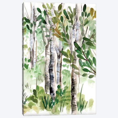 Birch Forest II Canvas Print #CHP46} by Marcy Chapman Canvas Art Print