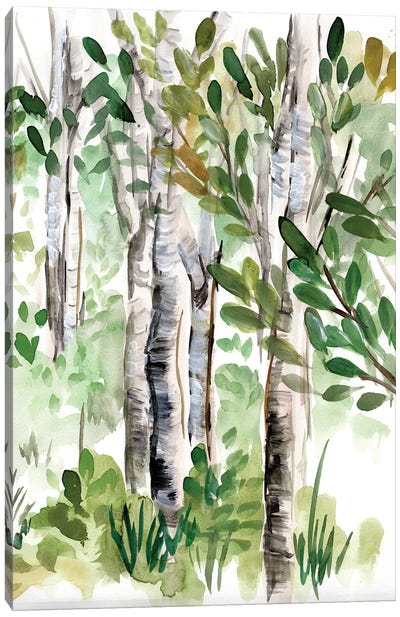 Birch Forest II Canvas Art Print