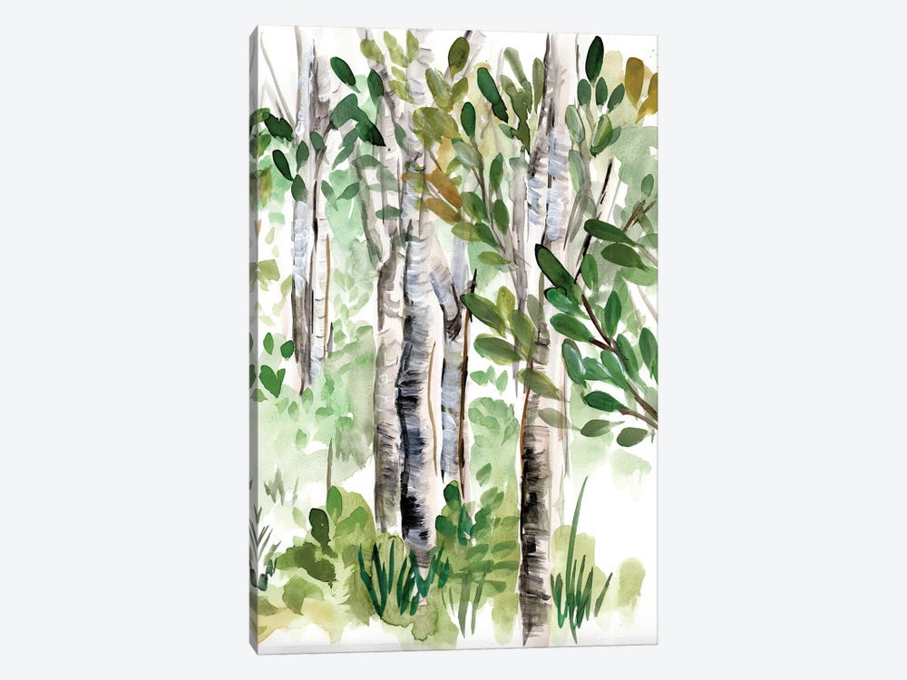 Birch Forest II by Marcy Chapman 1-piece Canvas Print