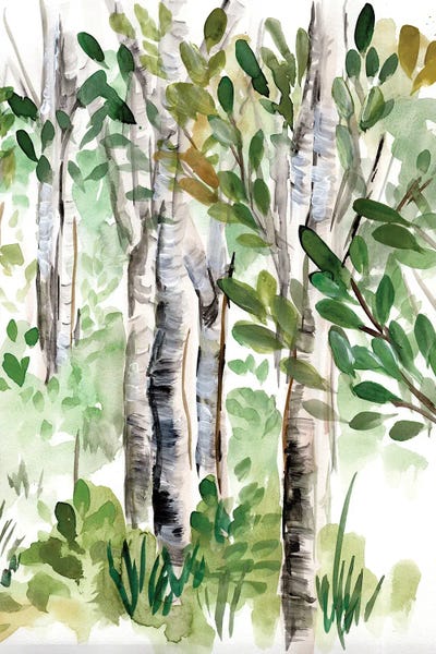 Lakehouse Décor: Birch Forest II by Marcy Chapman