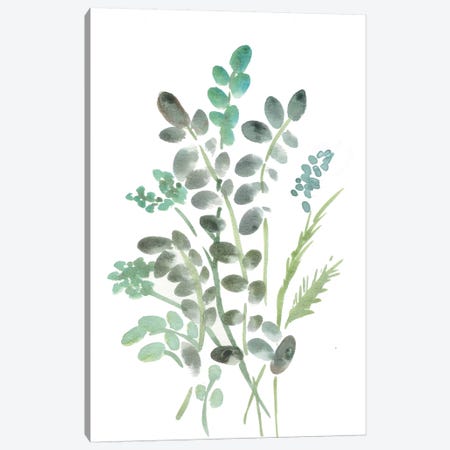 Farmhouse Botanical I Canvas Print #CHP4} by Marcy Chapman Art Print