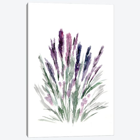 Lavender Canvas Print #CHP50} by Marcy Chapman Canvas Art Print