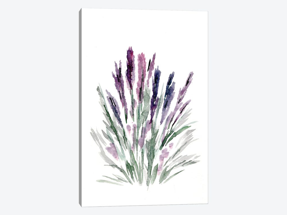Lavender by Marcy Chapman 1-piece Canvas Artwork