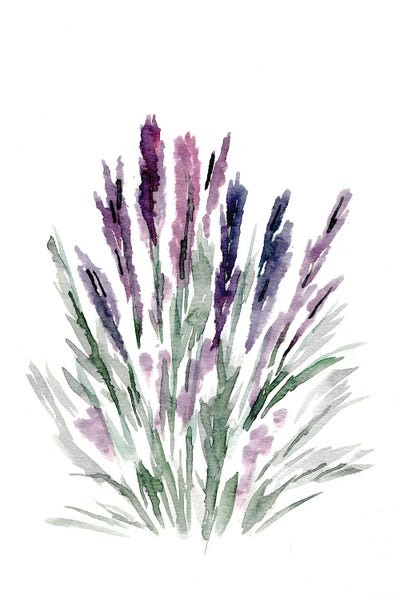 Modern Farmhouse Décor: Lavender by Marcy Chapman