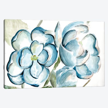 Morning Magnolias Canvas Print #CHP51} by Marcy Chapman Canvas Print