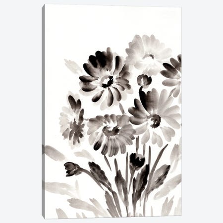 Simple Black Daisies Canvas Print #CHP53} by Marcy Chapman Art Print