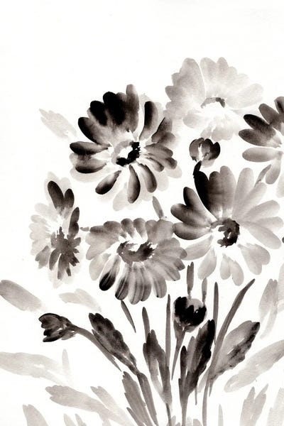 Modern Farmhouse Décor: Simple Black Daisies by Marcy Chapman