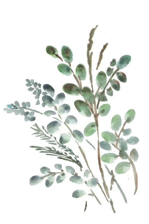 Farmhouse Botanicals II by Marcy Chapman wall art