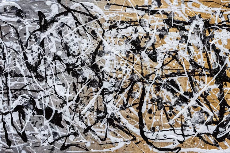 The Chaos II by Nikki Chauhan wall art