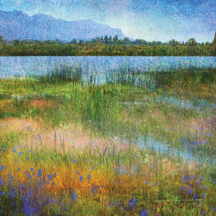 Lake Near Mesa Verde by Christopher Vest wall art