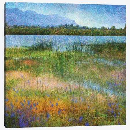 Lake Near Mesa Verde Canvas Print #CHV13} by Christopher Vest Canvas Art Print