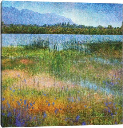 Lake Near Mesa Verde Canvas Art Print