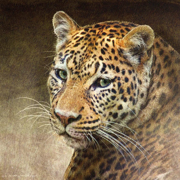 Leopard by Christopher Vest wall art