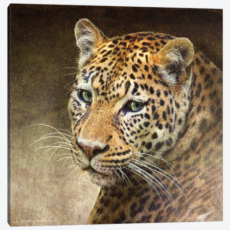 Leopard Canvas Print #CHV16} by Christopher Vest Canvas Wall Art